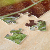 Puzzle Foto Rote Panda , Tiere 0523. (Seite)