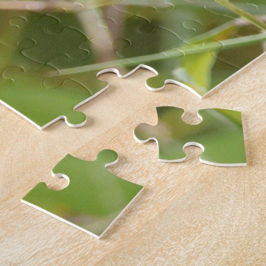 Puzzle Foto Rote Panda , Tiere 0529. (Seite)