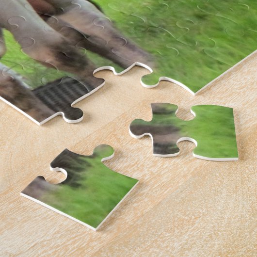 Puzzle für Kühe und Kälber (Seite)