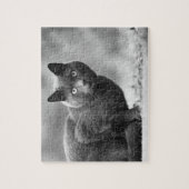 Puzzle für Schwarz-Weiß-Katzen (Vertikal)