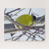 Puzzle - Gelbe Finke im Winterbaum (Horizontal)