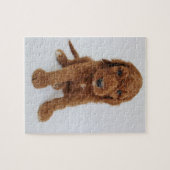 Puzzle Goldendoodle Welpen (Horizontal)