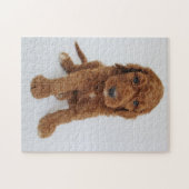 Puzzle Goldendoodle Welpen (Horizontal)