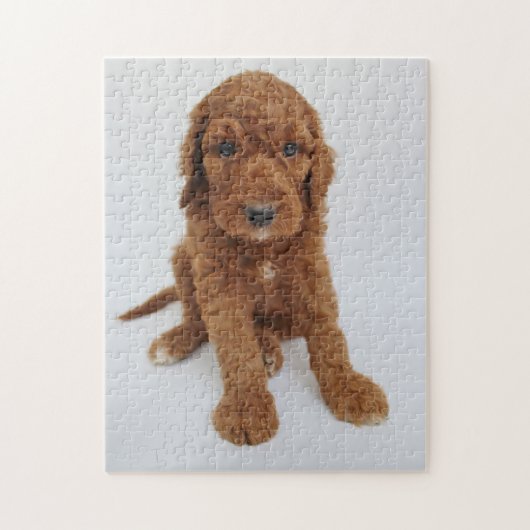 Puzzle Goldendoodle Welpen (Vertikal)