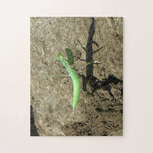 Puzzle - Gottesanbeterin (Vertikal)