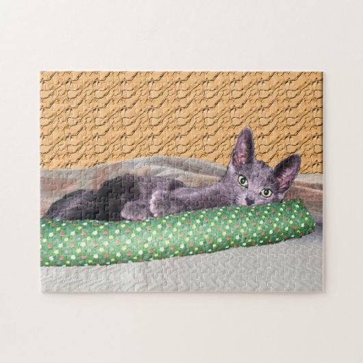 Puzzle - Graue Katze mit Spielzeug (Horizontal)
