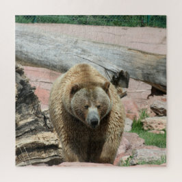 Puzzle Grizzly Bären von South Dakota