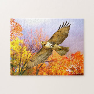 Puzzle "Hoher Flyer"