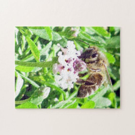 Puzzle - Honigbiene (Horizontal)