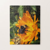 Puzzle - Hummel auf Calendula (Vertikal)