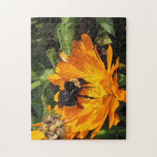 Puzzle - Hummel auf Calendula (Vertikal)