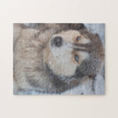 Puzzle Husky blaue Augen im Schnee (Horizontal)