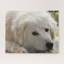 Puzzle Jigsaw