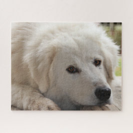 Puzzle Jigsaw