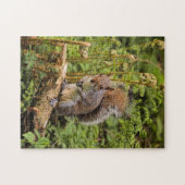 Puzzle/Jigsaw Puzzle (Horizontal)