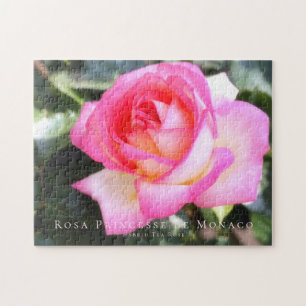 Puzzle Jigsaw: Rosa Princesse de Monaco (252 Stück