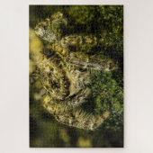 Puzzle Jumping spider on the moss foto (Vertikal)