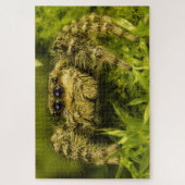 Puzzle Jumping Spinne im Gras-Foto (Vertikal)