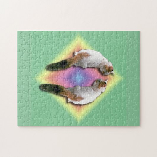 Puzzle - Katze und Regenbogen Diamant (Horizontal)