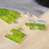 Puzzle-Katze & Vogel Puzzle (Seite)