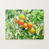 Puzzle - Kirschtomaten (Horizontal)