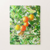 Puzzle - Kirschtomaten (Vertikal)