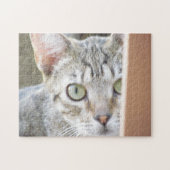 Puzzle - Kitten Portrait (Horizontal)