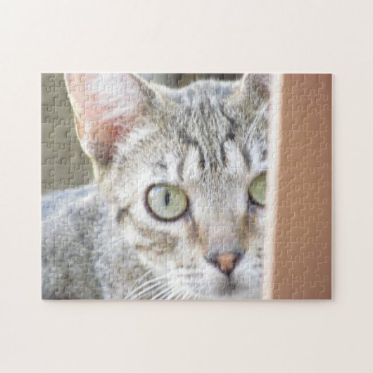 Puzzle - Kitten Portrait (Horizontal)