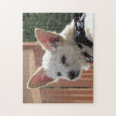 Puzzle - Kleiner weißer Hund (Vertikal)
