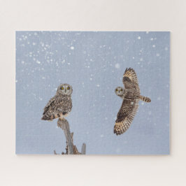 Puzzle kurz-Eared Owls Jigsaw