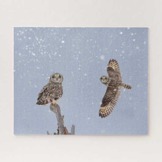 Puzzle kurz-Eared Owls Jigsaw (Horizontal)