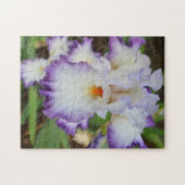 Puzzle - Lila Weißer Orchid (Horizontal)