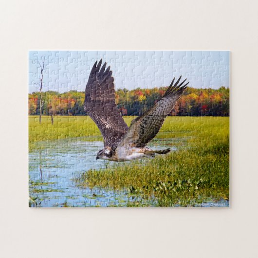 Puzzle "Lord of the Marsh" (Horizontal)