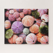Puzzle mit 520 Stück Seeigel (Horizontal)