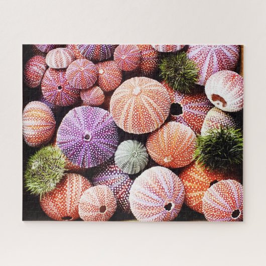 Puzzle mit 520 Stück Seeigel (Horizontal)