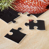 Puzzle mit 520 Stück Seeigel (Seite)