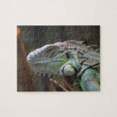 Puzzle mit dem Kopf der farbenfrohen Iguana-Eidech (Horizontal)