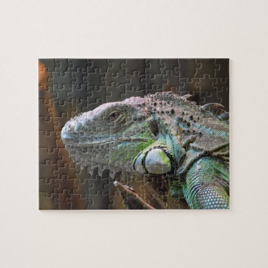 Puzzle mit dem Kopf der farbenfrohen Iguana-Eidech (Horizontal)