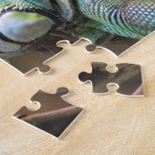 Puzzle mit dem Kopf der farbenfrohen Iguana-Eidech (Seite)