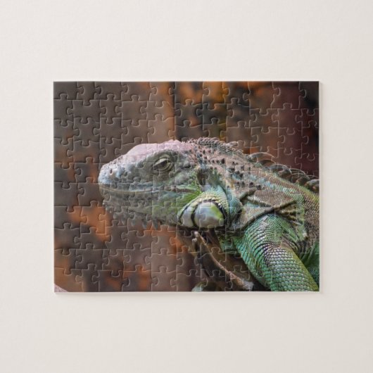 Puzzle mit farbenfroher Iguana-Eidechse (Horizontal)