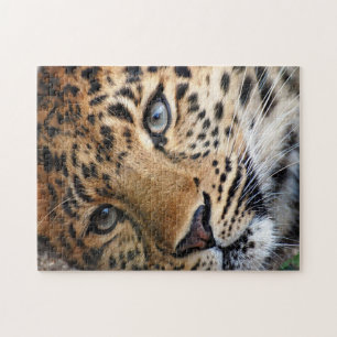 Puzzle mit Geschenkboxen/Geparden