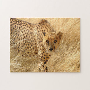 Puzzle mit Geschenkboxen/Geparden