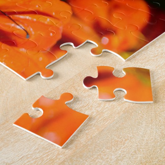 Puzzle mit Geschenkboxen/Monarchschmetterling (Seite)