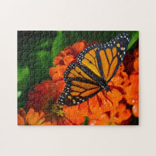 Puzzle mit Geschenkboxen/Monarchschmetterling (Horizontal)