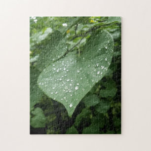 Puzzle mit grünem Leaf und Regentropfen