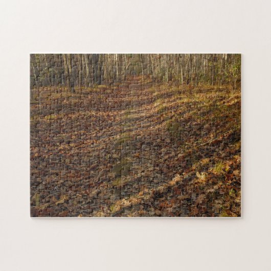 Puzzle mit kreativen Mustern (Horizontal)