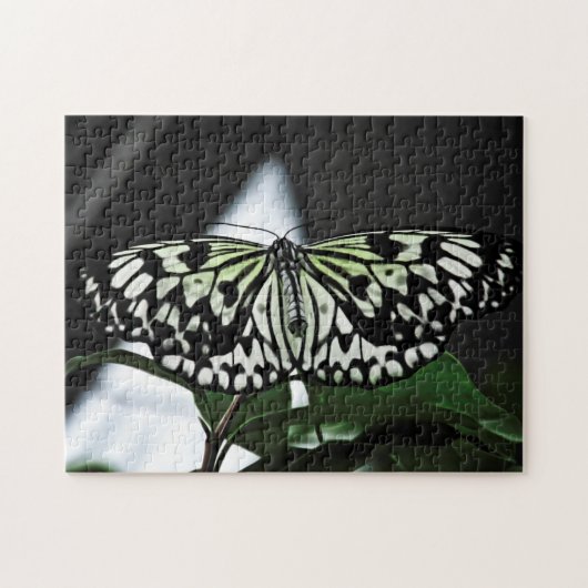 Puzzle mit kreativen Mustern (Horizontal)