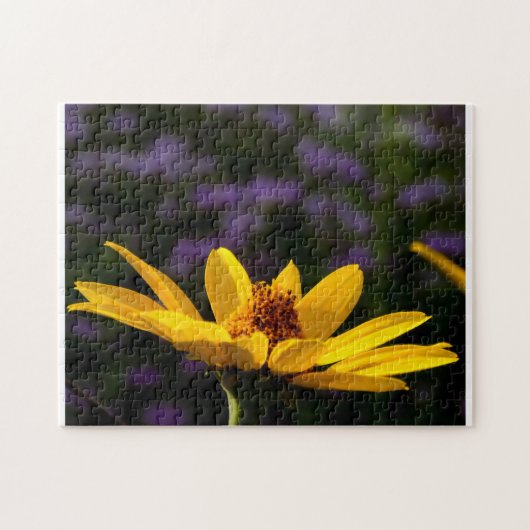 Puzzle mit kreativen Mustern (Horizontal)