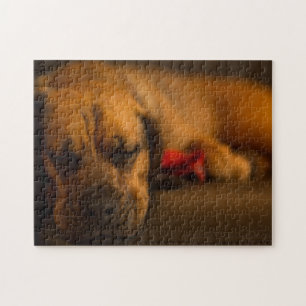 Puzzle mit kreativen Mustern