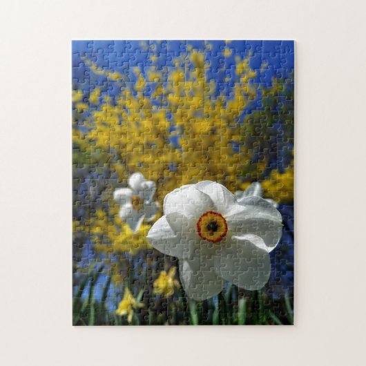 Puzzle mit kreativen Mustern (Vertikal)